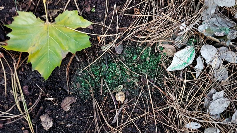 conjuring-new-realities